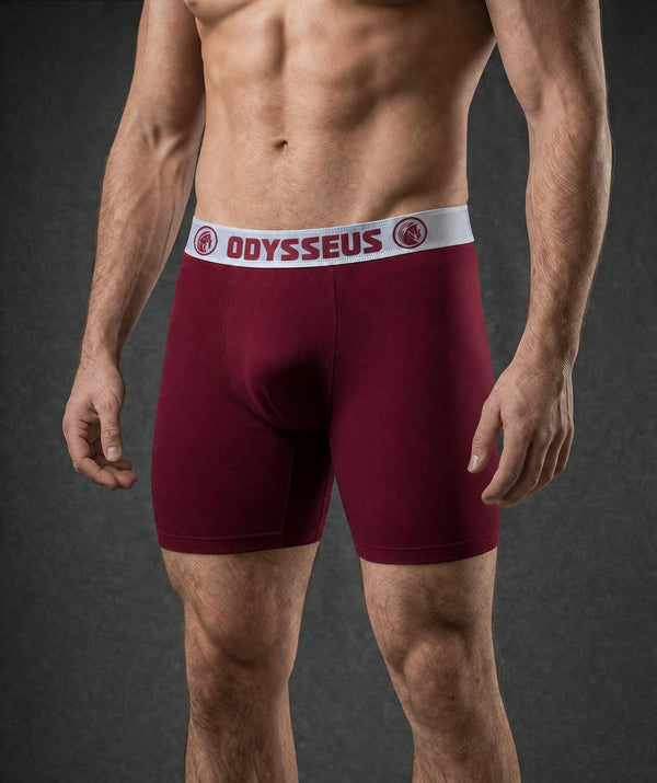 Boxer ODYSSEUS Vinotinto